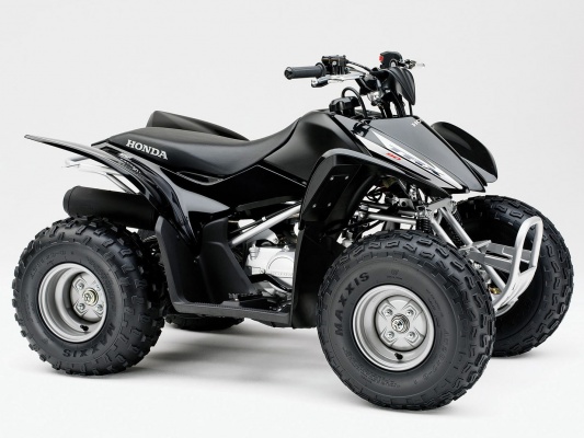 Фото квадроцикла Honda TRX90X